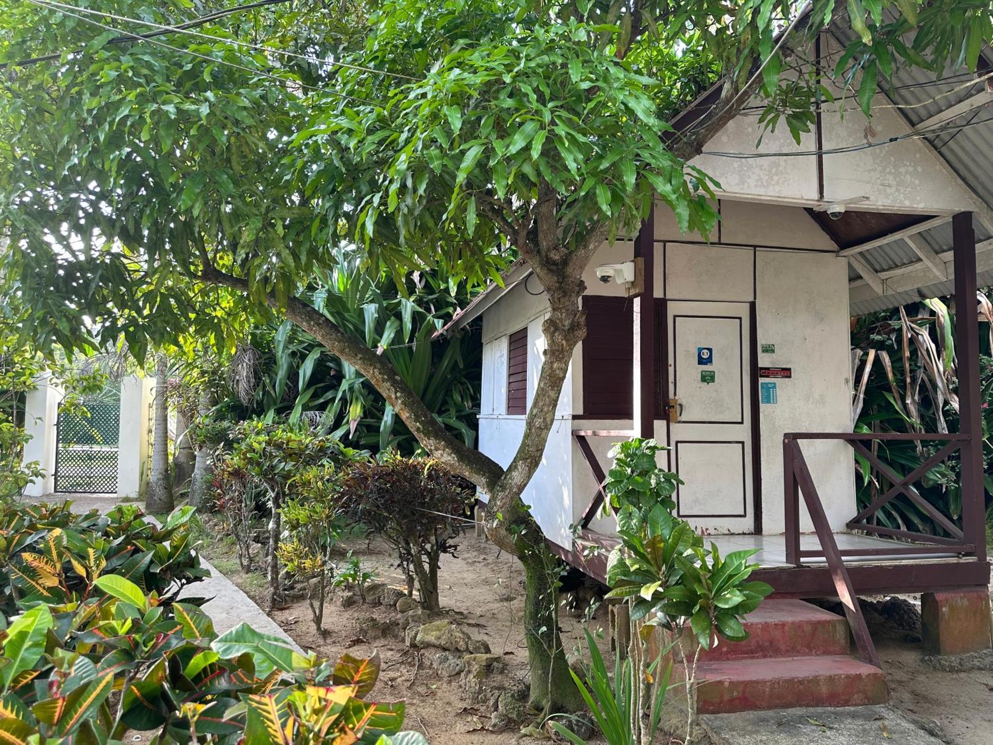 Yoga Dreams Negril Otel Dış mekan fotoğraf